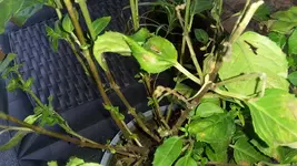20190828_083616.webp