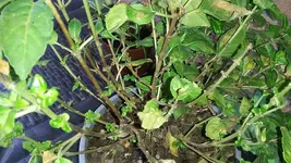 20190828_083644.webp