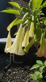 20190823_172230.jpg
