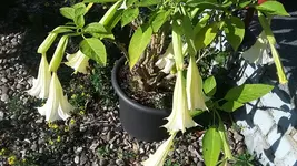 20190823_172323.webp