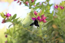 image003.webp