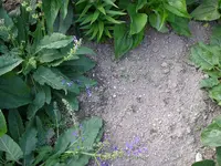 30_08_2019 (14).webp