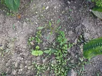 30_08_2019 (19).webp