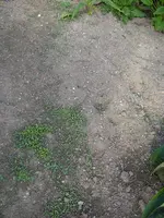 30_08_2019 (21).webp