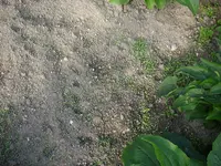 30_08_2019 (22).webp