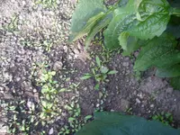 30_08_2019 (23).webp