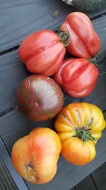 20190830_194443.webp