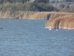 Seeblick3.JPG