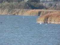 Seeblick3.webp
