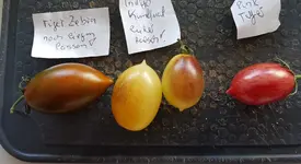 20190831_010605.jpg