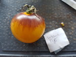 20190829_154848.jpg