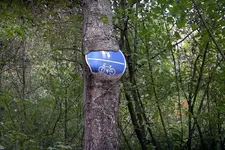 IMGP3069.webp