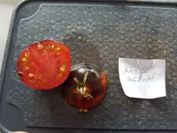 20190829_154410.webp
