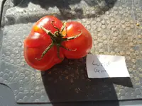 20190829_174645.webp