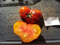 20190829_174731.webp