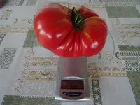 k-DSC01394.webp