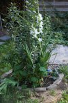 DSC08282.JPG
