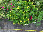 DSC00614.JPG