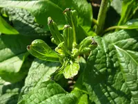 31_08_2019 (25).webp