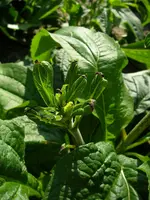 31_08_2019 (27).webp