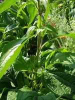 31_08_2019 (29).webp