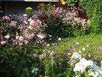 DSC00617.JPG