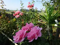 DSC00618.webp