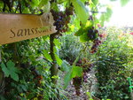 DSC00622.JPG
