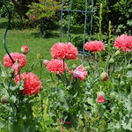 20190621_135539.jpg