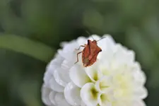 image003.webp