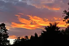 IMG_3987 v (2).webp