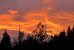 IMG_3989 v (2).JPG