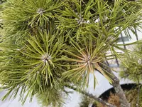 20190901_112546.webp