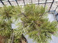 20190901_112552.webp