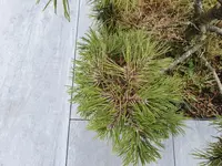 20190901_112558.webp