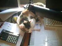 PIC_0977.webp