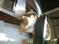 PIC_0979.webp