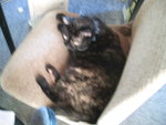 PIC_0980.JPG