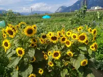 IMG_20190901_114951.webp
