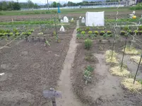 IMG_20190529_174151.webp