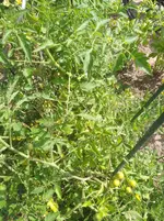IMG_20190901_115034.webp