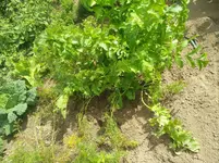 IMG_20190901_115053.webp