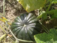 IMG_20190901_115248.webp