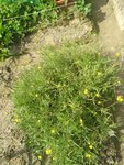 IMG_20190901_115334.jpg
