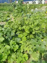 IMG_20190901_115431.webp