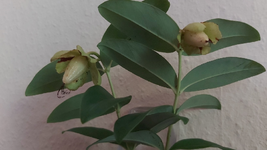 20190831_142641_resize_83.webp