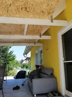 dach4.webp