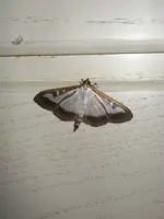 02_09_2019_Falter (2).webp