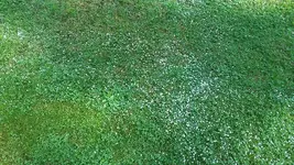 20190829_120619.webp