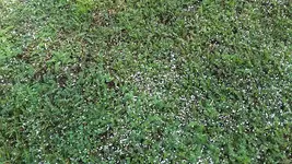20190829_120635.webp